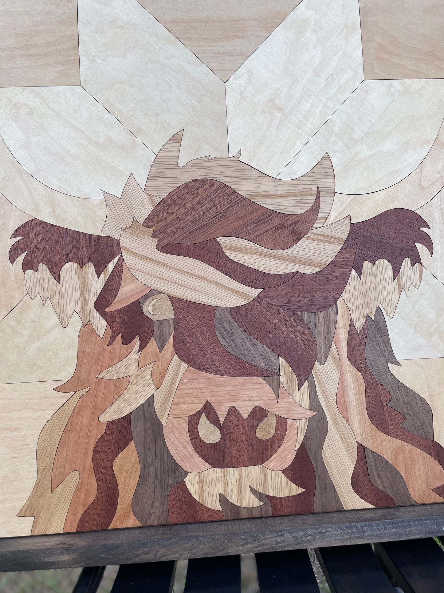 Highland Cow wood Art 24”x24”