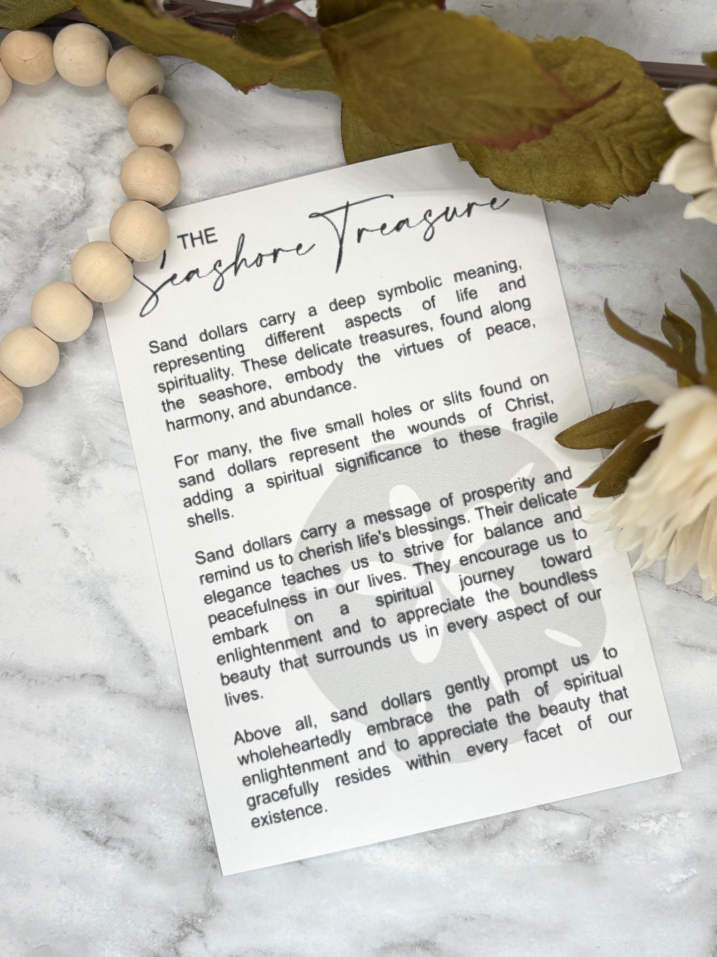 Sand Dollar-The Seashore Treasure Story Card Charm